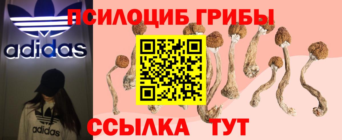 Галлюциногенные грибы мухоморы  Вход с VPN  Керчь 