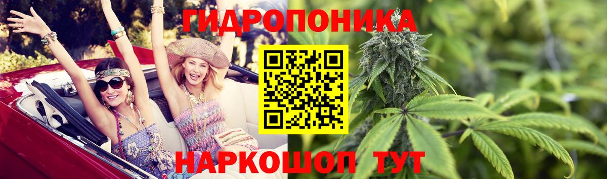 Бошки Шишки ГИДРОПОН  Вход с VPN  Бошки Шишки семена  МАРИХУАНА Bruce Banner  Керчь 